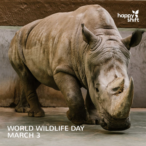 World Wildlife Day 2020: Sustaining All Life on Earth